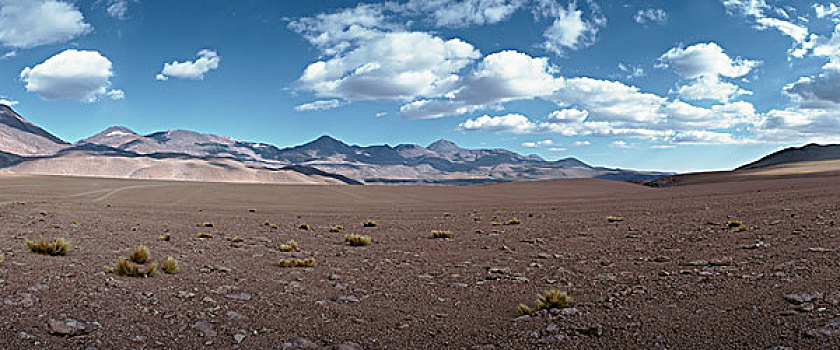 智利,荒漠景观,山,背景,全景