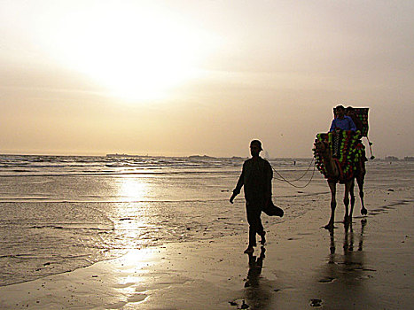 骆驼,物主,工作,海滩,过去,18岁,收入,卢比,白天,支持,家族,卡拉奇,巴基斯坦,2007年