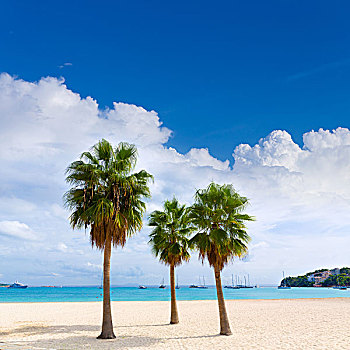 马略卡岛,海滩,儿子,巴利阿里群岛,西班牙
