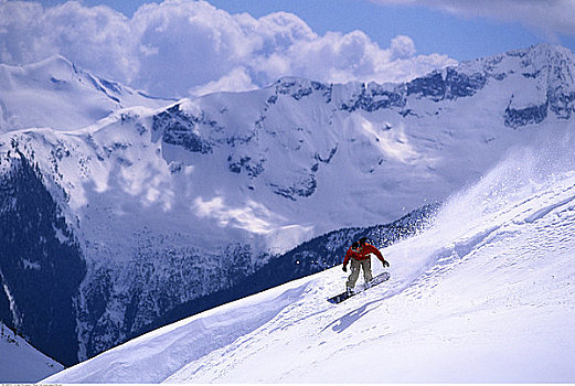 女人,滑雪板