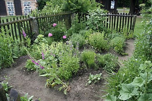 小,药草,花园,栅栏