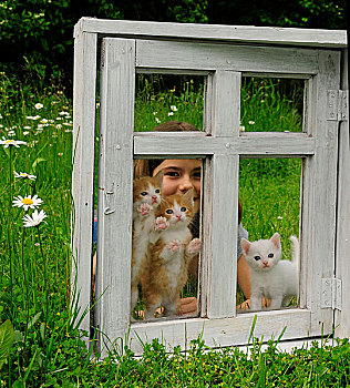 女孩,小猫,后面,老,白色,窗户,草地