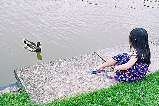 小女孩,水边,看,鸭子