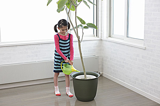 女孩,洒水壶,植物