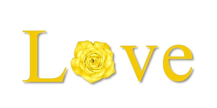 爱情,花,黄色