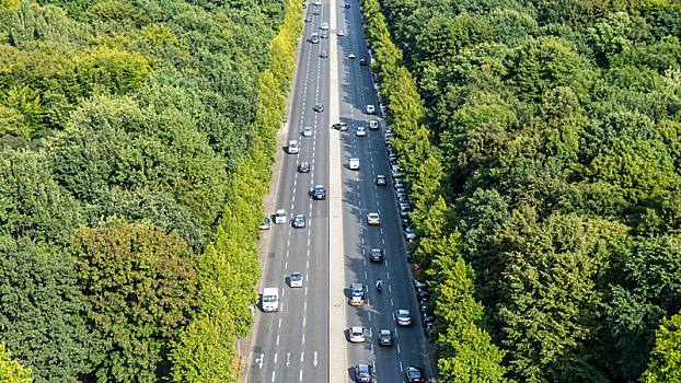 街道,树林