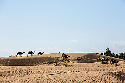 巴丹吉林大沙漠