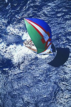 夏威夷,瓦胡岛,杯子,游艇,比赛,蓝色,绿色,船,俯视