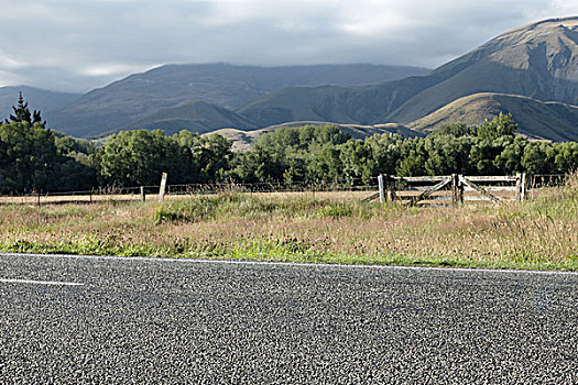 沥青,道路,靠近,草场,夏天,新西兰