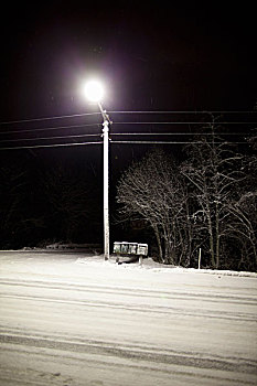 路灯,上方,雪路,夜晚