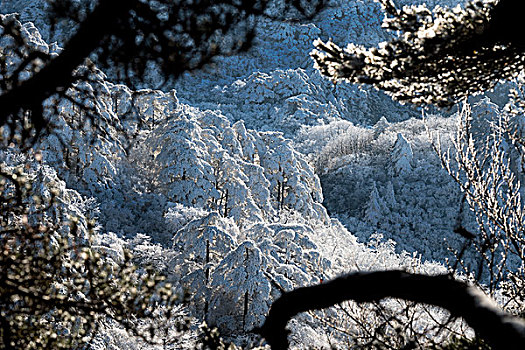 雪后黄山