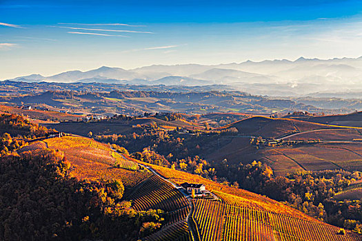 风景,热气球,绵延起伏,秋天,葡萄园,意大利