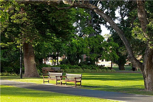 木质,公园长椅,座椅,花园,树,草,人行道
