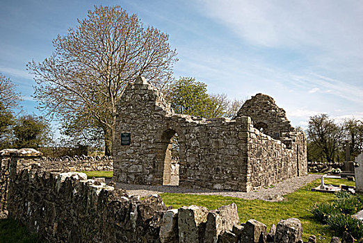 遗址,教堂,基尔肯尼郡,爱尔兰
