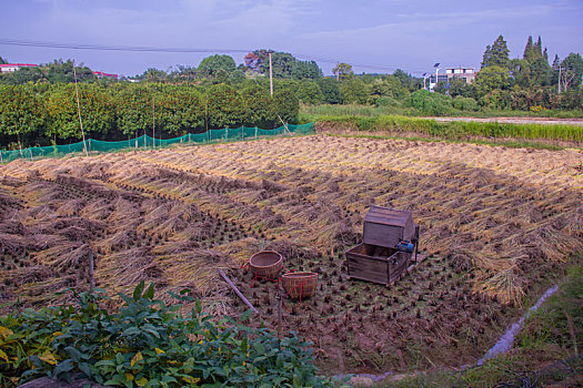 石梅湖