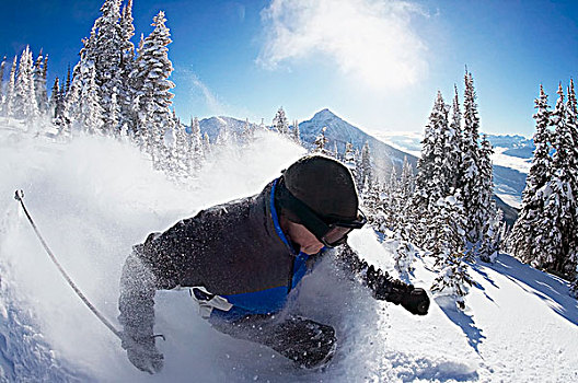 雪,猫,滑雪,攀升,不列颠哥伦比亚省,加拿大