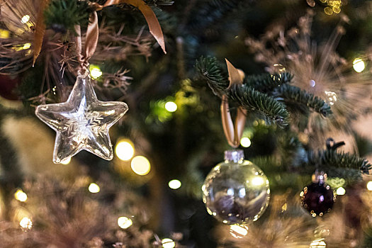 特写,星形,玻璃,装饰,小玩意,圣诞树