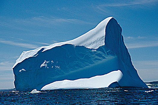 冰山,大西洋,纽芬兰,加拿大