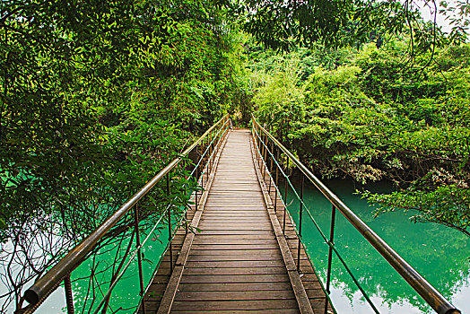 贵州茂兰国家自然保护区风光,森林里的河流与吊桥