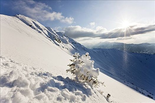 山峦,遮盖,大雪,北方,提洛尔,奥地利,欧洲