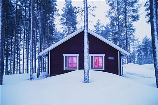 芬兰,冬天