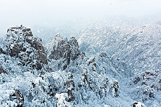 雪景,黄山,山,冬天