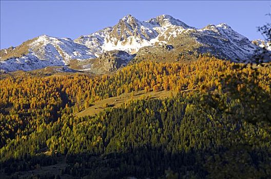 秋天,风景,顶峰,瓦莱,瑞士
