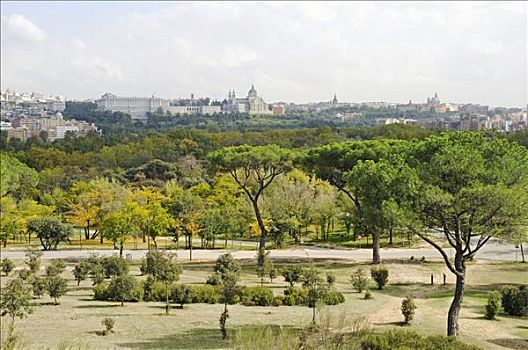 草原,绿色,城镇,公园,风景,城市,马德里,西班牙,欧洲