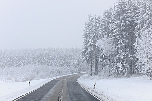 道路,冬天,巴登符腾堡,德国,欧洲