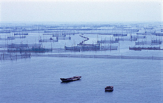 山东东平湖湿地