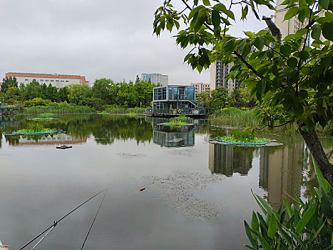山东省日照市,大雨过后的公园水面如镜,市民悠闲垂钓乐享周末