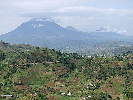 维龙加山,乌干达