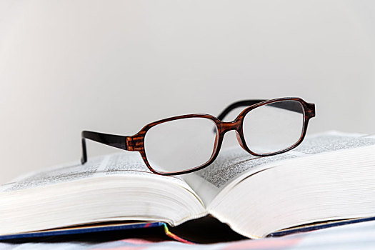 眼镜和词典