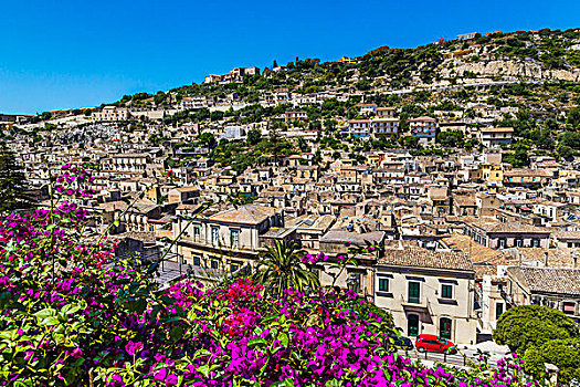 有花灌木,俯视,历史,城市,莫迪卡,省,拉古萨,西西里,意大利