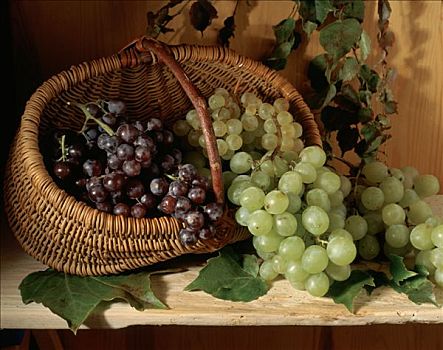 酿酒葡萄,柳条篮,叶子