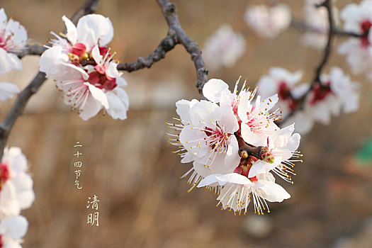 节气