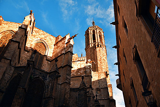 钟楼,老,建筑,哥特区,巴塞罗那,西班牙
