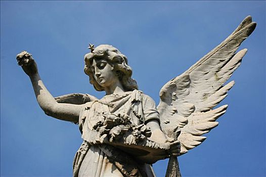 天使,墓地,雷科莱塔,布宜诺斯艾利斯,阿根廷,南美