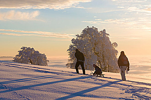 冬季风景,雪撬,山,布赖施高,黑森林,巴登符腾堡,德国,欧洲