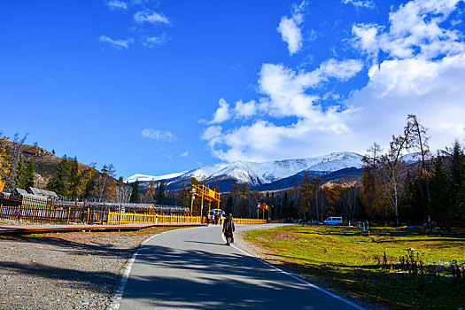 西北第一村白哈巴金秋盛景