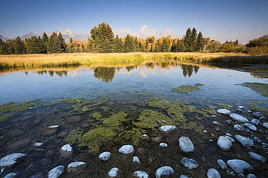 鹅卵石,大提顿山,背景,大台顿国家公园,怀俄明,美国