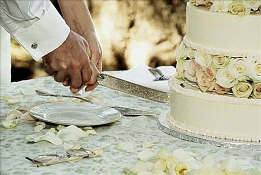 特写,新娘,新郎,切,婚礼蛋糕,刀