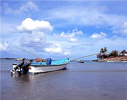 渔船,湾,多巴哥岛