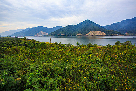 横溪镇,金娥湖,饮用水取水点,湖