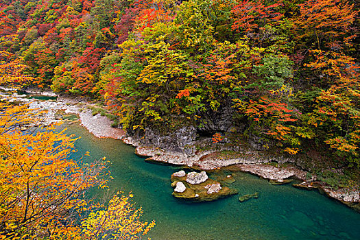 山谷,秋天