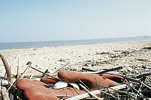 橡胶手套,海滩