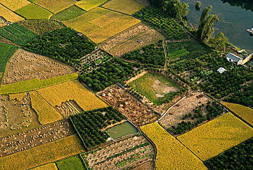 农民,工作,稻米,地点,丰收,时间,俯视,照片,建筑,阳朔,桂林,亚洲
