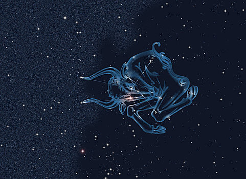 星座,金牛座,星星,發光,橙色