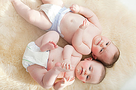 双胞胎,女婴,躺着,羊皮,地毯