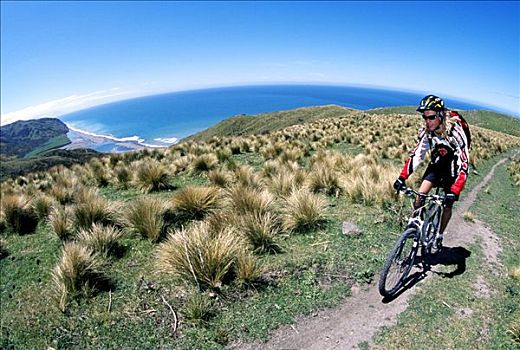 山地自行车,东海岸,南岛,新西兰